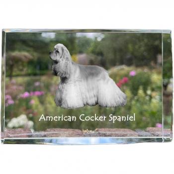 Art-Dog Cocker Spaniel Exhibit