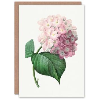 Pierre‑Joseph Redouté Hydrangea Classic Card – Artery8 White Collection