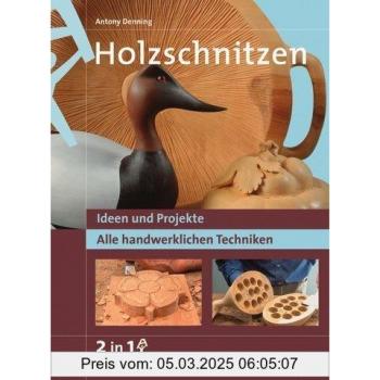 Holzschnitzen. Ideen und Projekte. Alle handwerklichen Techniken