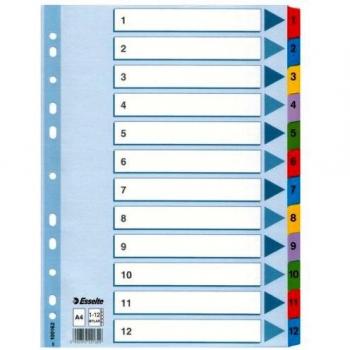 Esselte A4 File Divider Kit – Mylar Tab, 12 Pieces