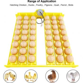 Duck and Chicken Egg Hatching Incubator 220V