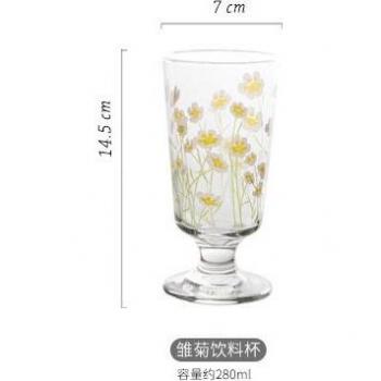 Ice Cream Glass Cup