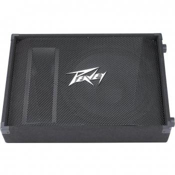 2022 Peavey 15M Black Monitor