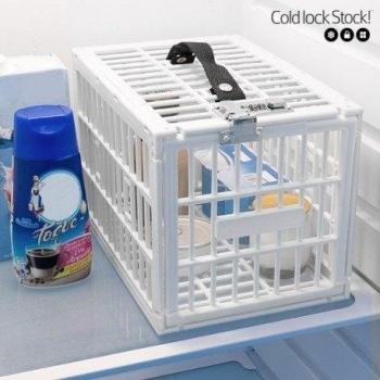 Fridge Lock Box
