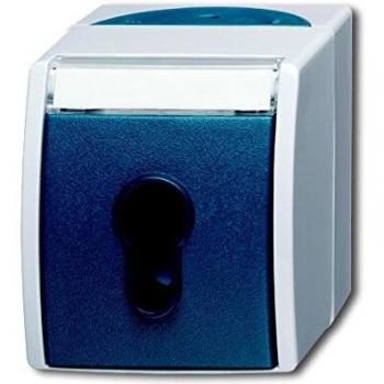 Busch-Jaeger Surface Mount Key Switch 2733 SLW-53