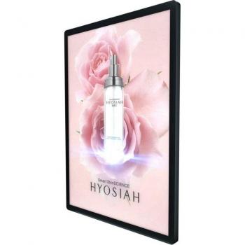 Backlit LED Display Sign