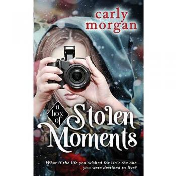 A Box of Stolen Moments (A Fae and His Human, Band 1)