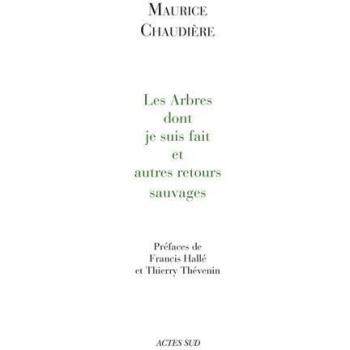 Les arbres dont je suis fait et autres retours sauvages