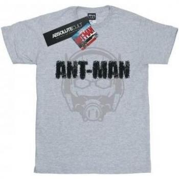 T-shirt Ant-Man per ragazze in cotone con design sfumato