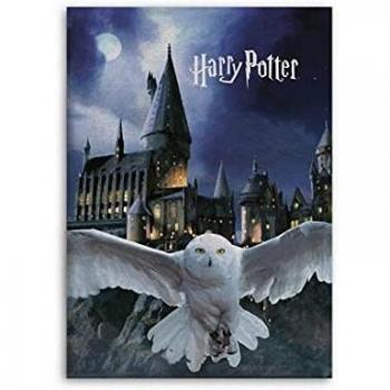 Plaid Polaire Hedwige Harry Potter