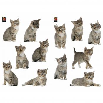 Autocollants chats – Décor mural Plage 157102, 2 unités