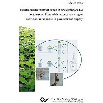 Functional diversity of beech (Fagus sylvatica L.) ectomycorrhizas with respect to nitrogen nutrition in response to plant carbon supply