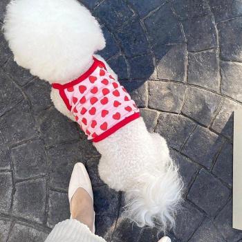 Lente Hond Vest