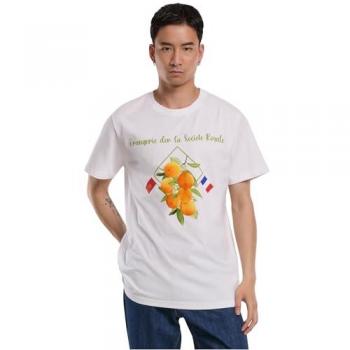 Mister Tee Orangerie – Blanc 4XL