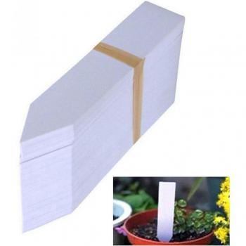 100 Stück Kunststoff Etiketten für Pflanzen, Bonsai Namensschilder, 10x2 cm