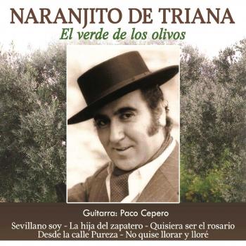 El Verde De Los Olivos