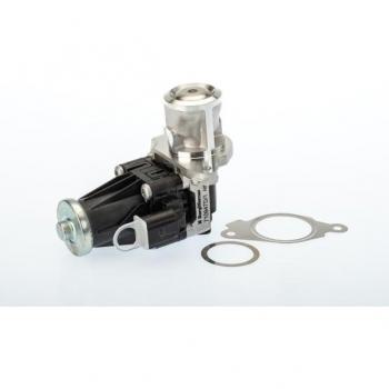 BorgWarner Wahler EGR Valve 710947D