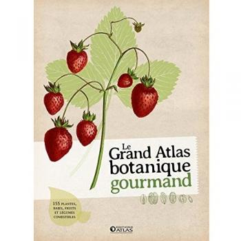 Le grand atlas botanique gourmand : 155 fruits, baies et plantes comestibles