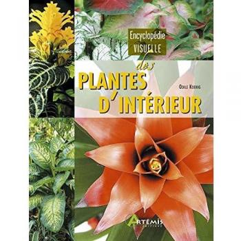 Plantes d'intérieur
