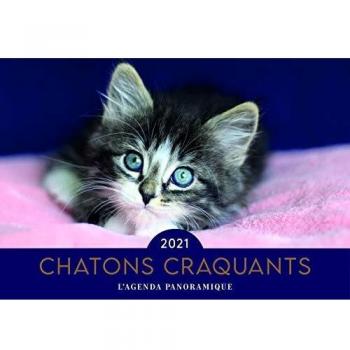 Agenda panoramique Chatons craquants 2021