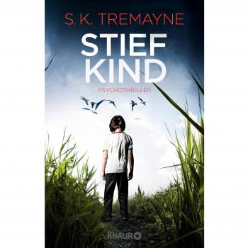 Stiefkind: Psychothriller