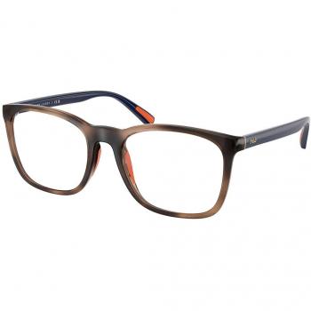 Tortoiseshell Polo RAL 2281U brillenmodel