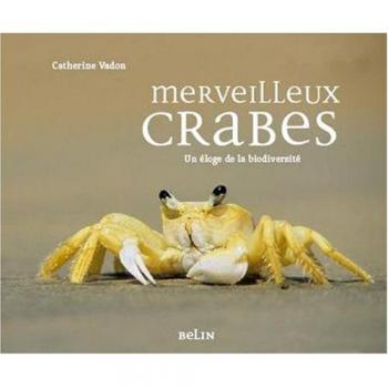 Merveilleux crabes