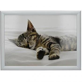 Creative Tops Kitten Lap Tray,