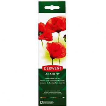 Godets d'Aquarelle Derwent Color Academy