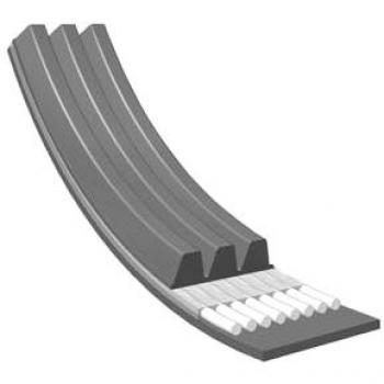 Servizio Belt MEYLE 050 003 0860