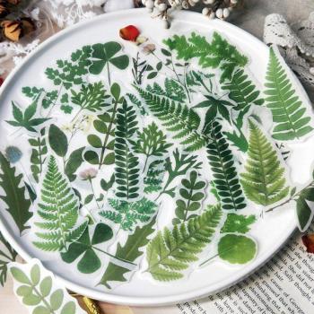 40pcs Plant Scrapbooking Stickers