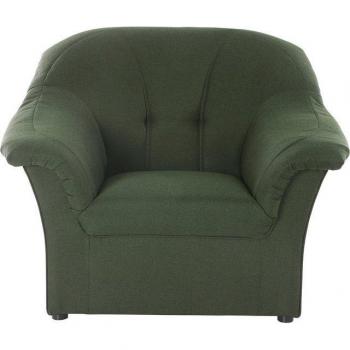 PEGNITZ‑Sessel aus DOMO Collection – Grün, 100 % Polyester, B105 × H82 × T82 cm