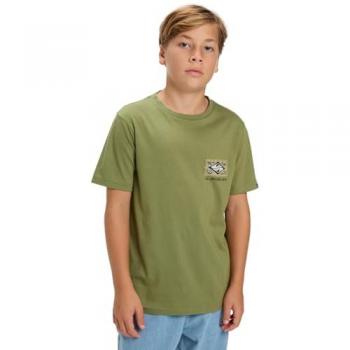 Quiksilver T-Shirt Evo Crisis für Jungen