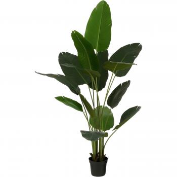 Mica Decorations