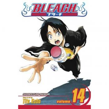 Bleach, Vol. 14, by Tite Kubo