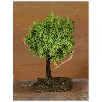 Albero di Muschio Artificiale H 7 Cm