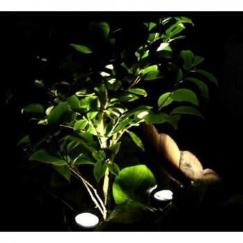 Éclairage solaire T-SUN 6 LED IP68 pour extérieur et décoration aquatique