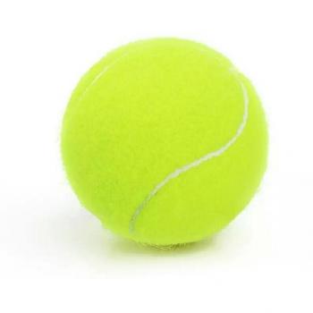 Balle de Tennis en Caoutchouc pour Entraînement 5 pièces