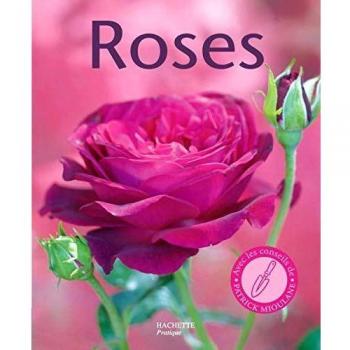 Roses : 100 variétés de roses pour répondre à tous vos besoins. Les conseils d'un spécialiste pour bien choisir et entretenir vos rosiers
