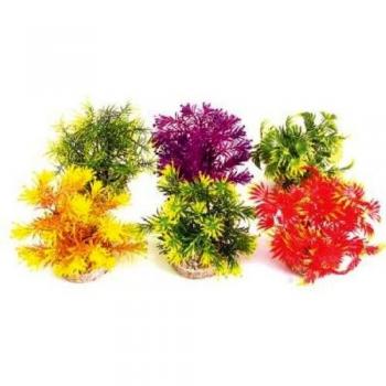 Sydeco Jungle Water Plant