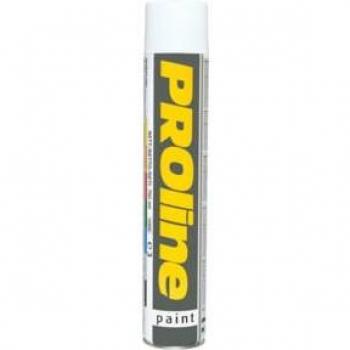 Peinture de marquage professionnelle DENIOS 750 ml