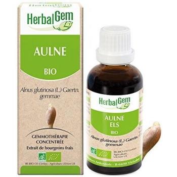 AULNE
