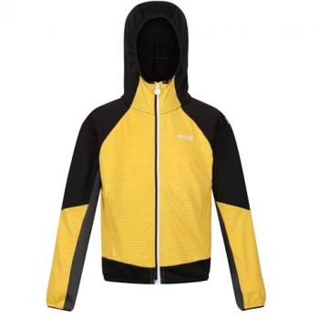 Prenton II Giacca Softshell Regatta