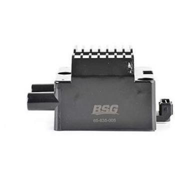BSG 65-835-005 Spark Plug Replacement Coil