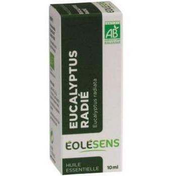 Huile de Eucalyptus Radiata – Organique et Pures
