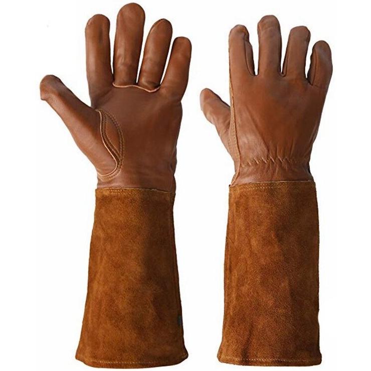 #