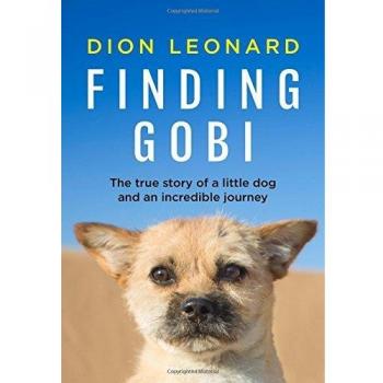 Finding Gobi