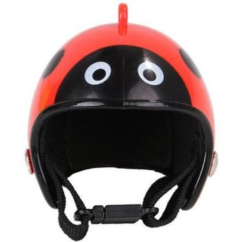 Hen Protective Helmet