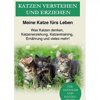 Katzen verstehen und erziehen