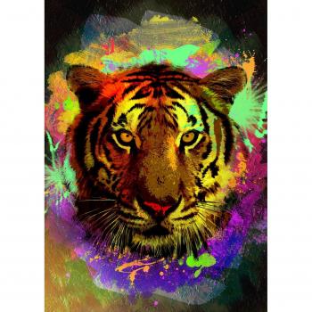 Puzzles Heidi La Griffe 500 pièces – Edition multicolore